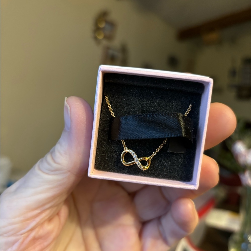 Pandora Infinity Necklace